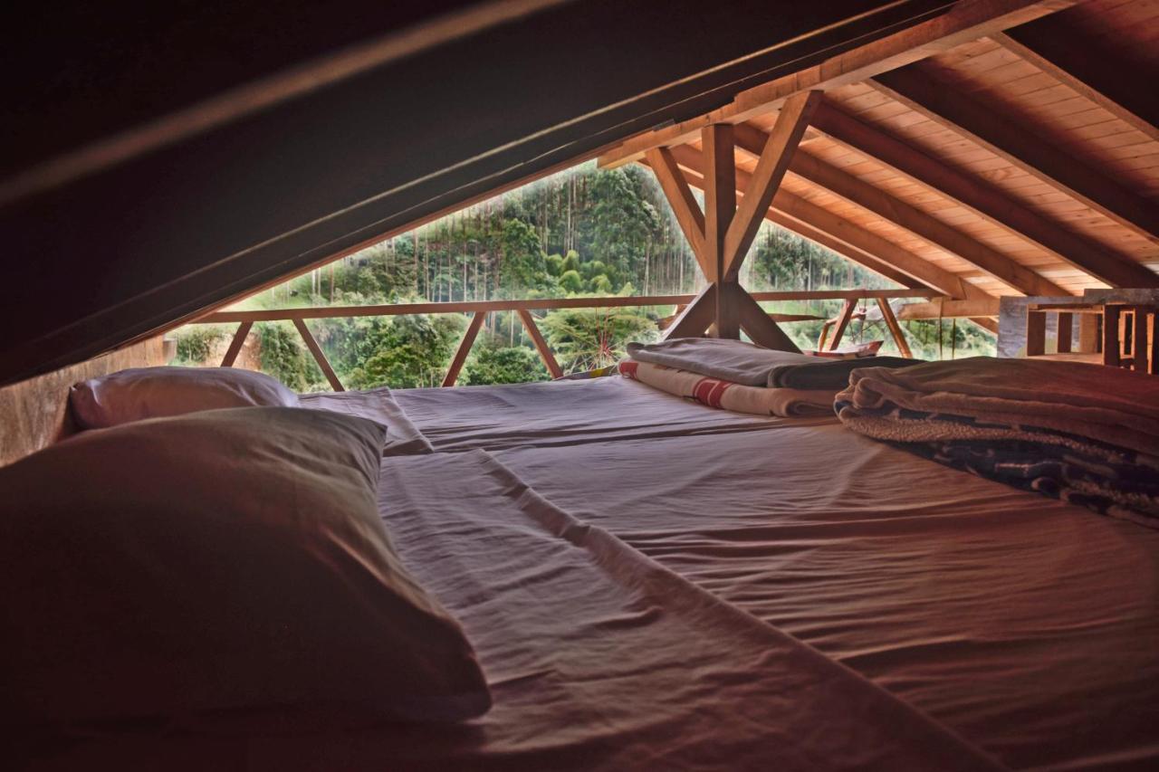 Creo Ecolodge Jardín Esterno foto