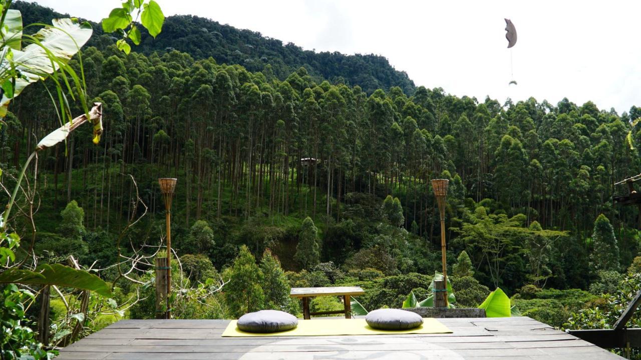 Creo Ecolodge Jardín Esterno foto