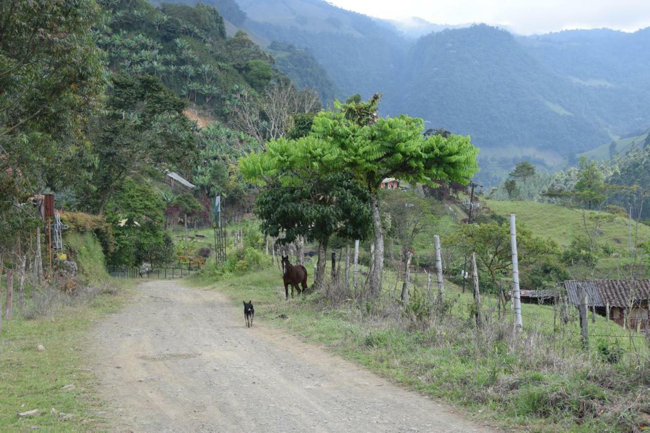Creo Ecolodge Jardín Esterno foto