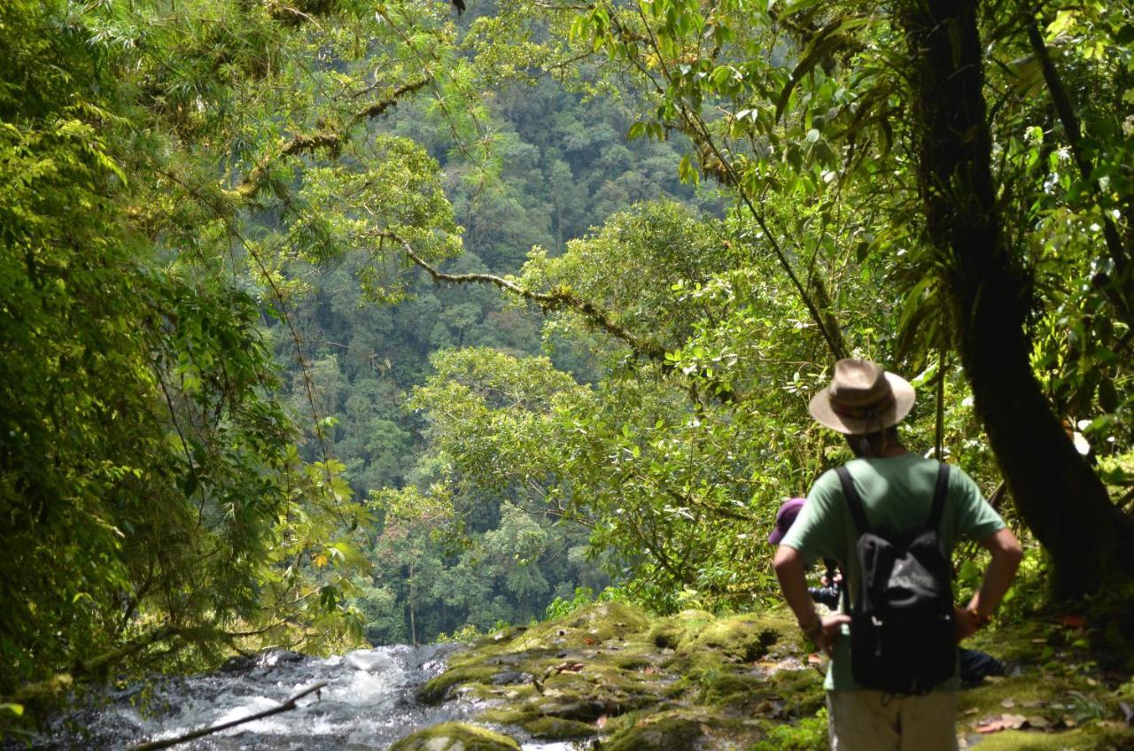 Creo Ecolodge Jardín Esterno foto